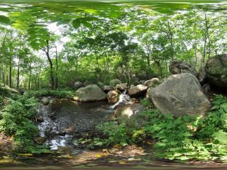 松山森林公園虛擬旅游