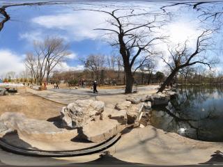 北京動物園-湖邊全景