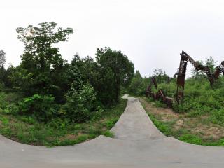 生態(tài)旅游首選雁棲湖 道路