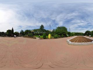 葫蘆島龍灣公園夏景之花之魅