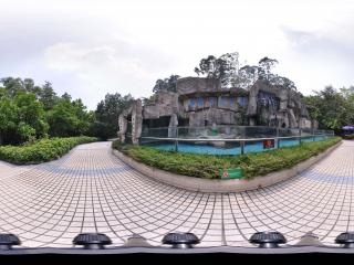 深圳野生動物園企鵝館