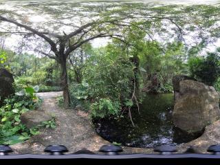 深圳野生動物園里的湖水