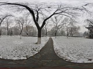 北大雪景