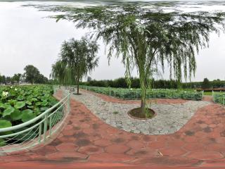 北京 溫室公園 NO.42