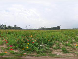 北京萬(wàn)花園