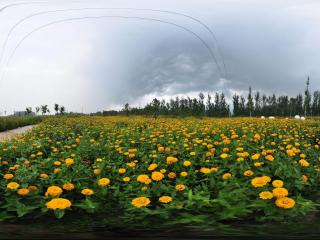 北京萬(wàn)花園