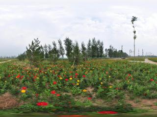 北京萬(wàn)花園