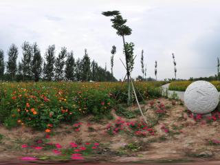 北京萬(wàn)花園