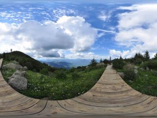 百花山上山木板路