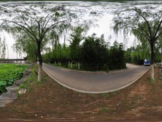 北京國家森林公園 NO.24