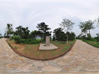 北宮國家森林公園 NO.8