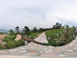 北宮國家森林公園 NO.3