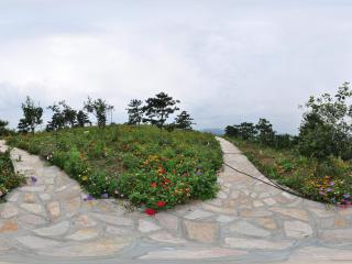 北宮國家森林公園 NO.2