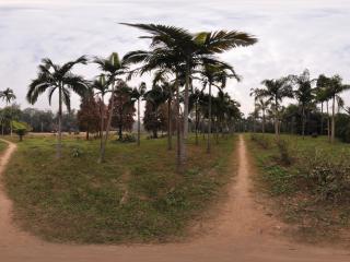 南寧良鳳江森林公園 NO.1