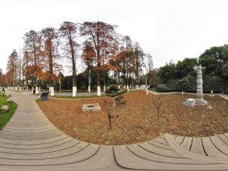 常州紅梅公園 NO.7