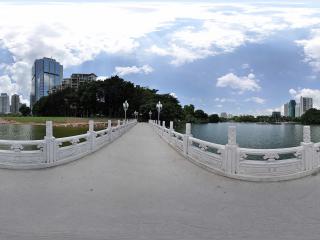 深圳荔枝公園大橋