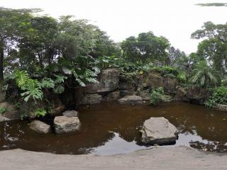 廣州越秀公園水池