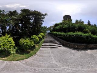 深圳仙湖植物園向上臺(tái)階