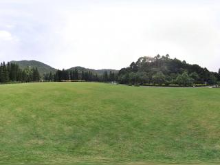 深圳仙湖植物園青綠草坪全景