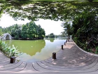 深圳仙湖植物園沿湖小路