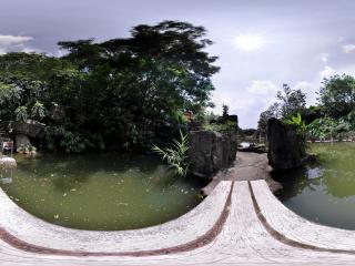 深圳仙湖植物園湖中路