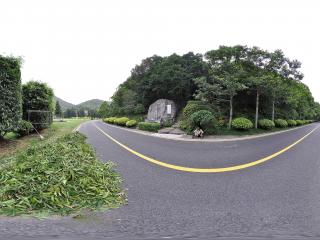 深圳仙湖植物園山路