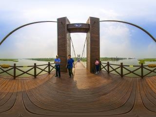 天津—七里河國家濕地公園索橋全景