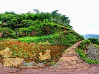 貴州—赤水梯田風(fēng)景區(qū)