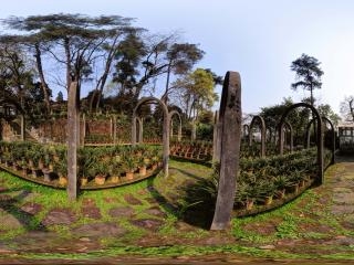 南山植物園虛擬旅游