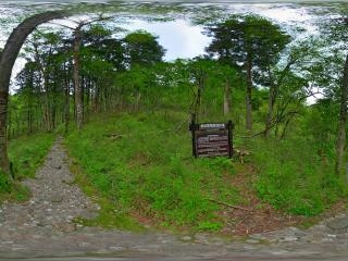 金絲猴棲息地全景