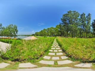 野鴨湖