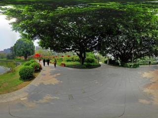 廣東—廣州流花湖公園湖邊