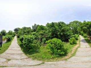 古棧道