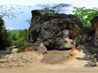 雄獅把關(guān)