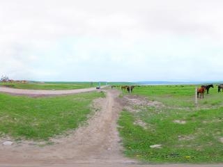 山丹軍馬場虛擬旅游