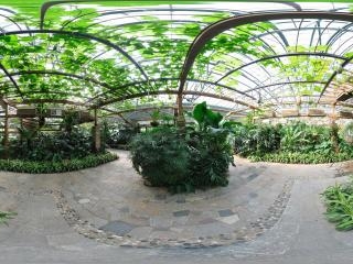 四季植物館珍奇植物展區(qū)