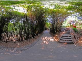 太陽產(chǎn)房階梯