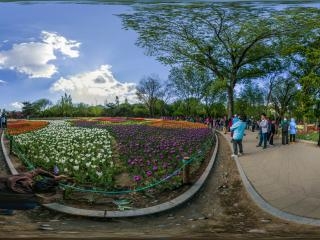 北京—海淀植物園郁金香文化節(jié)06全景