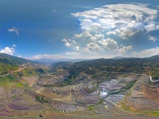 楊柳梯田空中全景