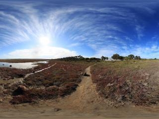 南非開普敦西海岸公園