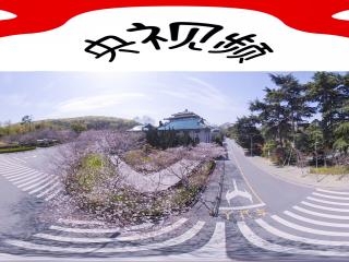 武漢大學(xué)虛擬旅游