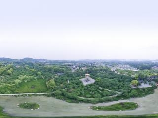 東湖磨山櫻園2