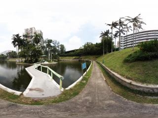 廣東暨南大學(xué)湖中島 (一)