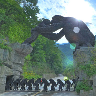 神農(nóng)架官門山虛擬旅游