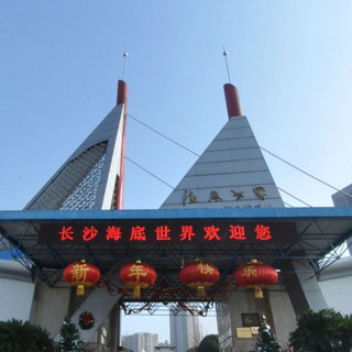 長(zhǎng)沙海底世界虛擬旅游